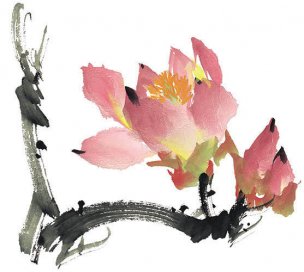 近现代 佚名 花卉图册J173-69-国画百花争艳32[花鸟 