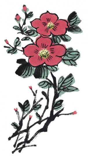 近现代 佚名 花卉图册J173-69-国画百花争艳316[花鸟 
