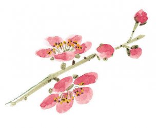近现代 佚名 花卉图册J173-69-国画百花争艳326[花鸟