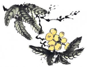 近现代 佚名 花卉图册J173-69-国画百花争艳302[花鸟