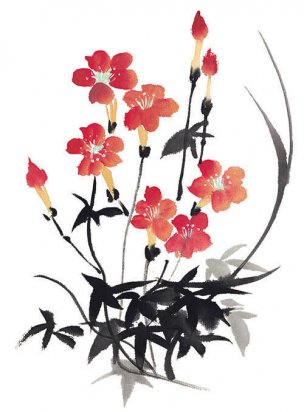 近现代 佚名 花卉图册J173-69-国画百花争艳321[花鸟