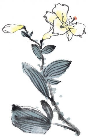 近现代 佚名 花卉图册J173-69-国画百花争艳265[花鸟