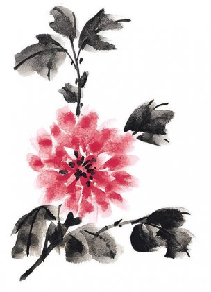 近现代 佚名 花卉图册J173-69-国画百花争艳305[花鸟