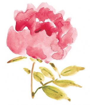 近现代 佚名 花卉图册J173-69-国画百花争艳297[花鸟
