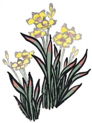 近现代 佚名 花卉图册J173-69-国画百花争艳280[花鸟