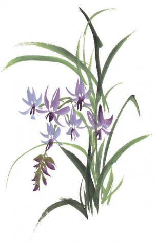 近现代 佚名 花卉图册J173-69-国画百花争艳284[花鸟