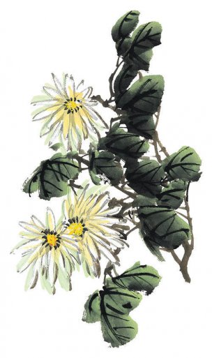 近现代 佚名 花卉图册J173-69-国画百花争艳287[花鸟