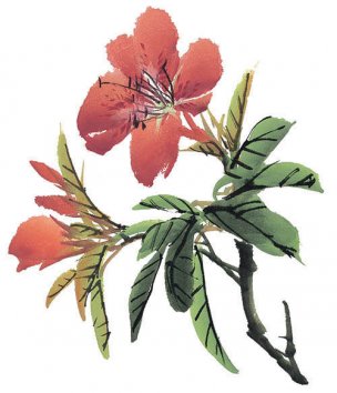 近现代 佚名 花卉图册J173-69-国画百花争艳278[花鸟