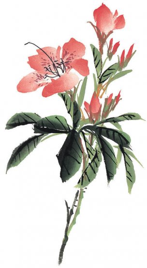 近现代 佚名 花卉图册J173-69-国画百花争艳274[花鸟