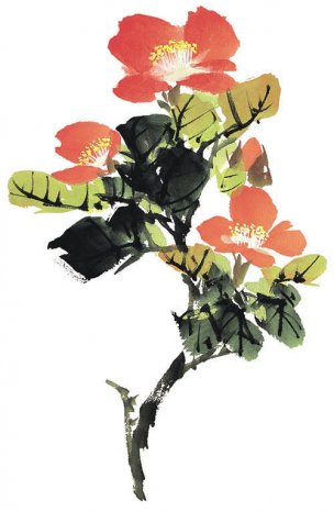 近现代 佚名 花卉图册J173-69-国画百花争艳271[花鸟