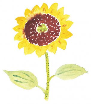 近现代 佚名 花卉图册J173-69-国画百花争艳298[花鸟