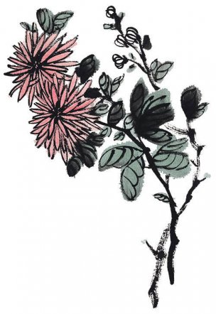 近现代 佚名 花卉图册J173-69-国画百花争艳276[花鸟