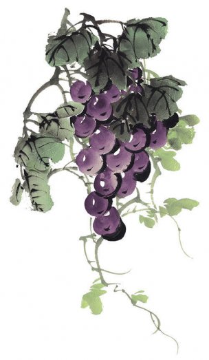 近现代 佚名 花卉图册J173-69-国画百花争艳273[花鸟