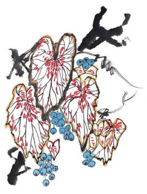近现代 佚名 花卉图册J173-69-国画百花争艳295[花鸟