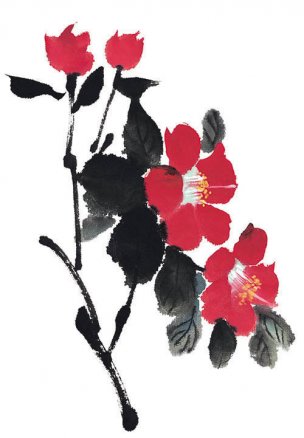 近现代 佚名 花卉图册J173-69-国画百花争艳269[花鸟