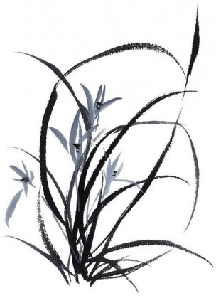 近现代 佚名 花卉图册J173-69-国画百花争艳227[花鸟
