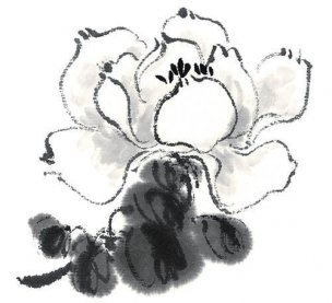 近现代 佚名 花卉图册J173-69-国画百花争艳234[花鸟