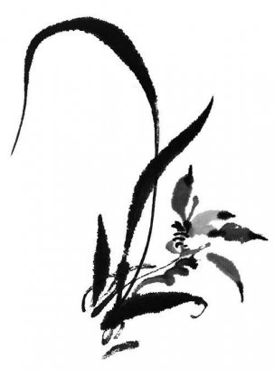 近现代 佚名 花卉图册J173-69-国画百花争艳204[花鸟