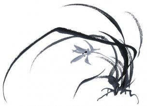 近现代 佚名 花卉图册J173-69-国画百花争艳225[花鸟