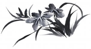近现代 佚名 花卉图册J173-69-国画百花争艳222[花鸟