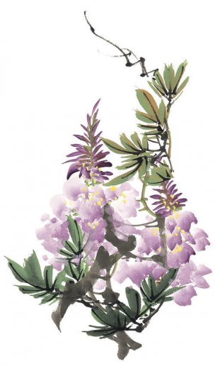 近现代 佚名 花卉图册J173-69-国画百花争艳260[花鸟