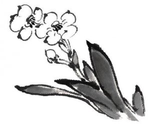 近现代 佚名 花卉图册J173-69-国画百花争艳211[花鸟