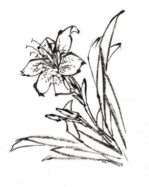 近现代 佚名 花卉图册J173-69-国画百花争艳239[花鸟