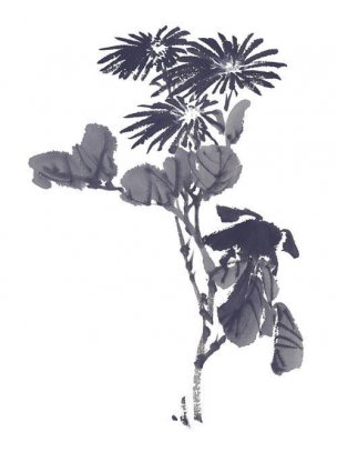 近现代 佚名 花卉图册J173-69-国画百花争艳200[花鸟