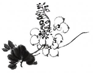 近现代 佚名 花卉图册J173-69-国画百花争艳212[花鸟