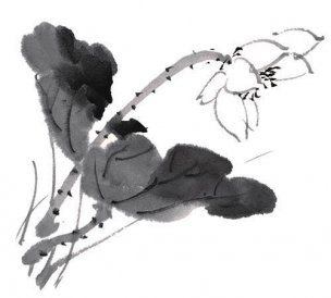 近现代 佚名 花卉图册J173-69-国画百花争艳210[花鸟