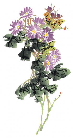 近现代 佚名 花卉图册J173-69-国画百花争艳285[花鸟