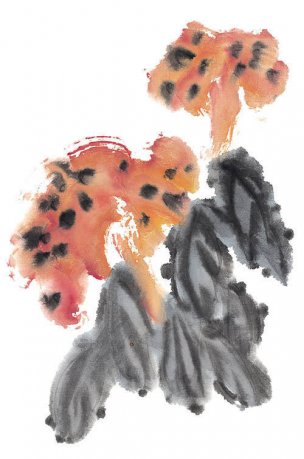 近现代 佚名 花卉图册J173-69-国画百花争艳294[花鸟