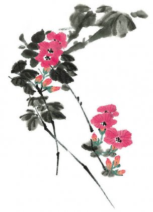近现代 佚名 花卉图册J173-69-国画百花争艳254[花鸟