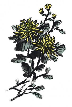 近现代 佚名 花卉图册J173-69-国画百花争艳282[花鸟
