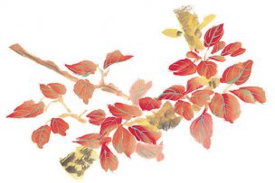 近现代 佚名 花卉图册J173-69-国画百花争艳296[花鸟