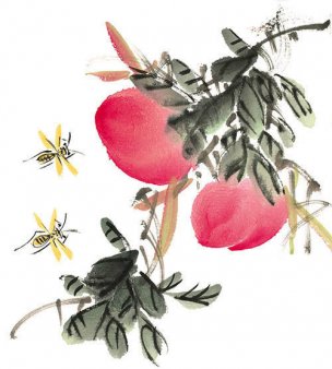 近现代 佚名 花卉图册J173-69-国画百花争艳246[花鸟