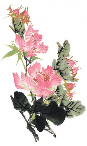 近现代 佚名 花卉图册J173-69-国画百花争艳272[花鸟