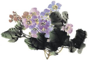 近现代 佚名 花卉图册J173-69-国画百花争艳275[花鸟