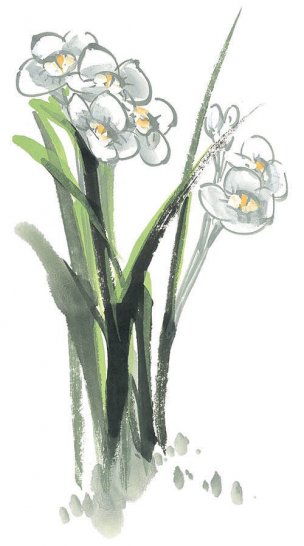 近现代 佚名 花卉图册J173-69-国画百花争艳259[花鸟