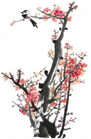 近现代 佚名 花卉图册J173-69-国画百花争艳251[花鸟