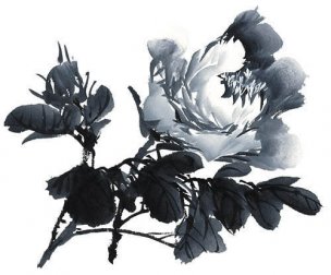 近现代 佚名 花卉图册J173-69-国画百花争艳233[花鸟