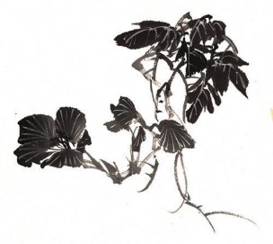 近现代 佚名 花卉图册J173-69-国画百花争艳244[花鸟