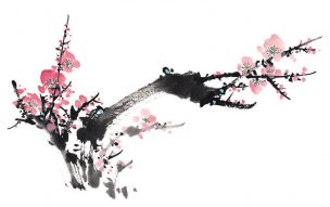近现代 佚名 花卉图册J173-69-国画百花争艳24[花鸟