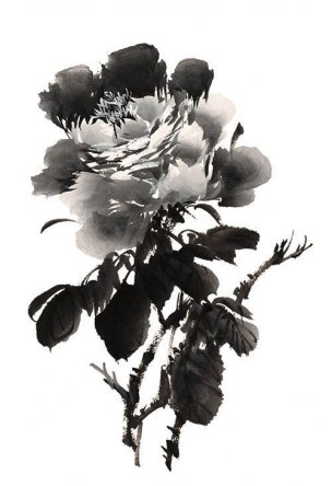 近现代 佚名 花卉图册J173-69-国画百花争艳237[花鸟