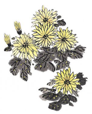 近现代 佚名 花卉图册J173-69-国画百花争艳264[花鸟