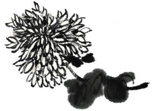 近现代 佚名 花卉图册J173-69-国画百花争艳238[花鸟