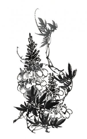 近现代 佚名 花卉图册J173-69-国画百花争艳240[花鸟