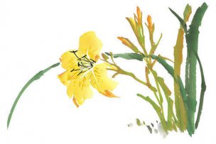 近现代 佚名 花卉图册J173-69-国画百花争艳249[花鸟