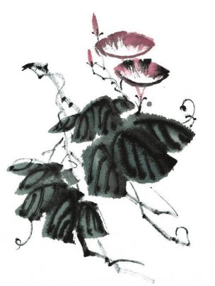 近现代 佚名 花卉图册J173-69-国画百花争艳247[花鸟