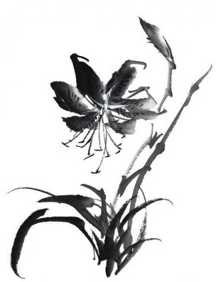 近现代 佚名 花卉图册J173-69-国画百花争艳236[花鸟